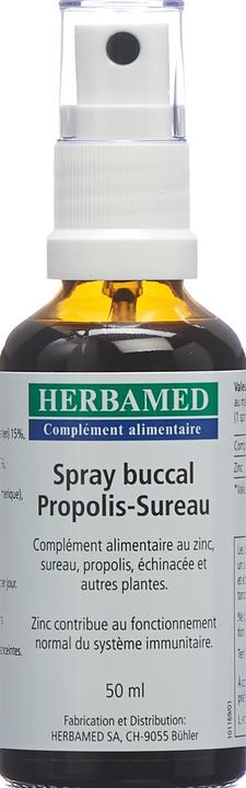 Actual product image Herbamed Propolis-Holunder Mundspray (1 Piece, Spray, 114 g)