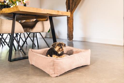 Image du produit Designed by Lotte Ribbed (Chien)