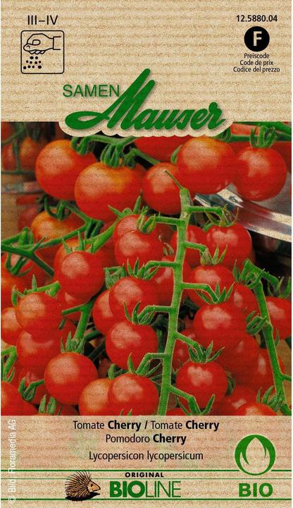 Samen Mauser Cherry (Graines de légumes)
