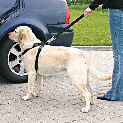 Produktbild Trixie Auto-Geschirr (XS, Hund, Allgemein)