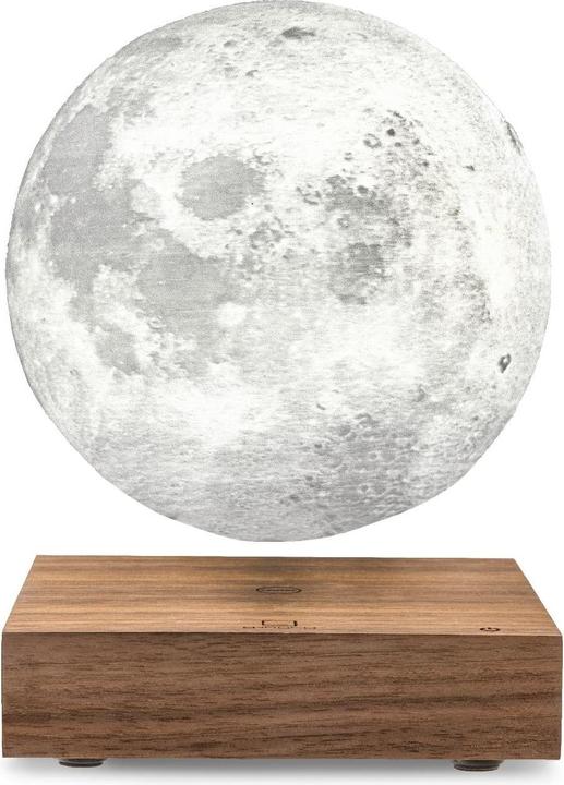 Gingko Smart Moon