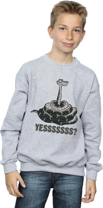 Actual product image Disney Boys The Jungle Book Kaa Yesssss Sweatshirt (140, 146)