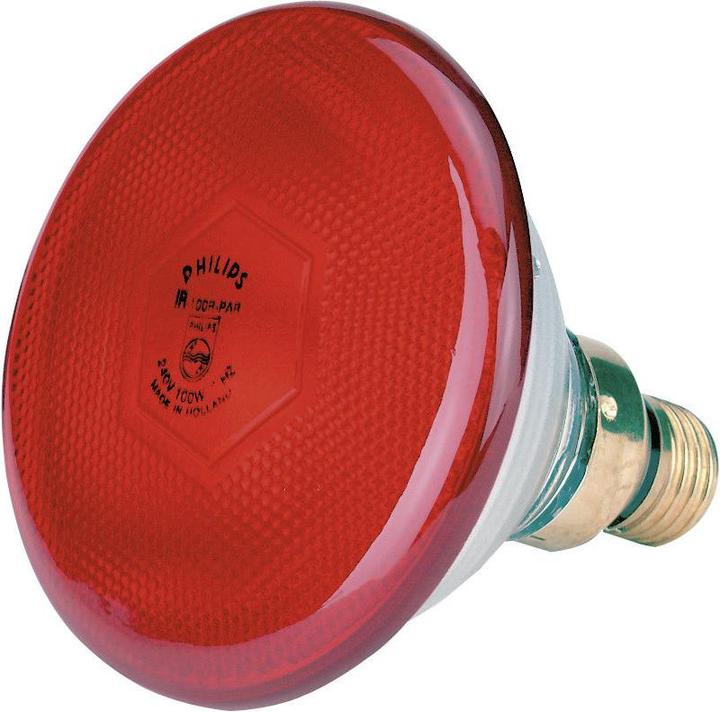 Actual product image Philips 22302 Economy lamp, 100 W, red (100 W)