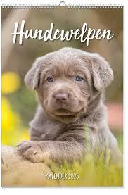 Actual product image Dog puppies poster calendar 2025 (German)