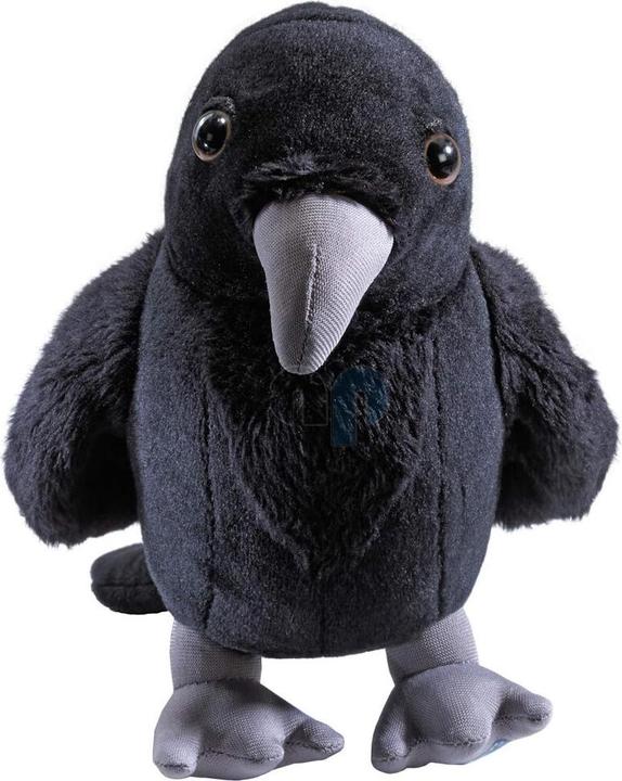 Image du produit Noble Collection Harry Potter: Ravenclaw avec Corbeau