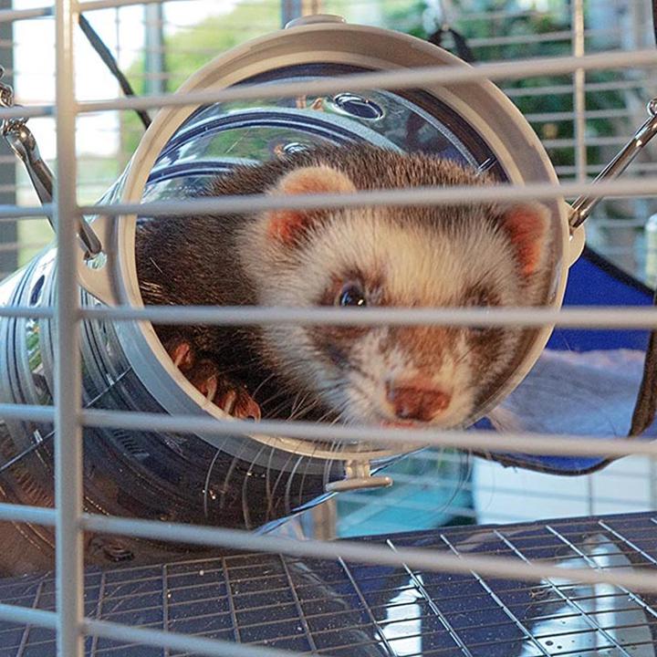Actual product image Ferplast Furet Tower