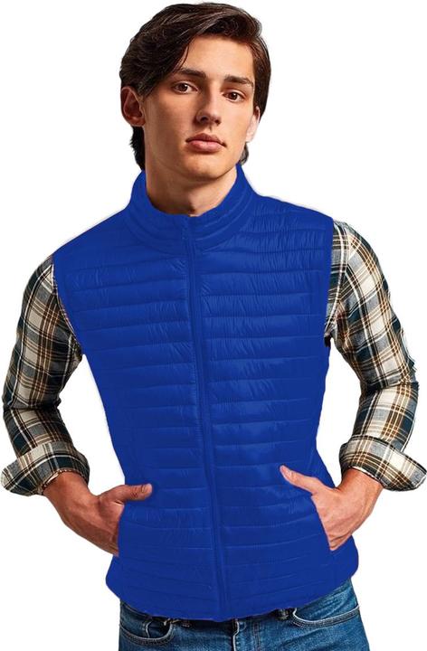 Image du produit 2786 Bodywarmer Tribe Fineline (L)