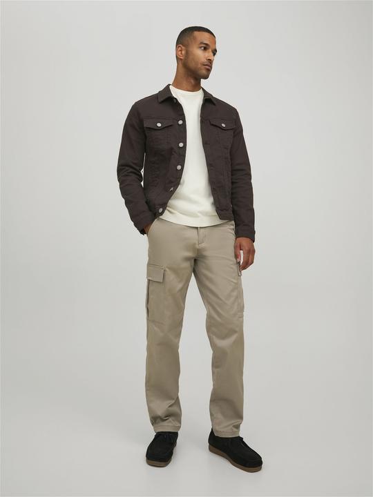 Actual product image Jack & Jones Kane Pablo Cargo Trousers (32)