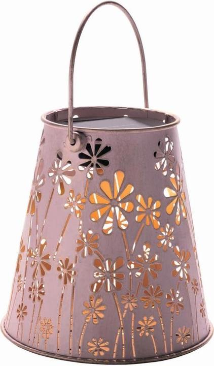Actual product image STT Antic Daisy