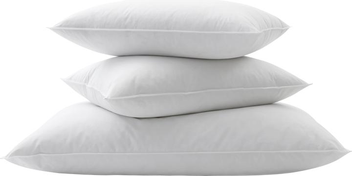 Immagine prodotto Billerbeck Standard 250 (65 x 100 cm)