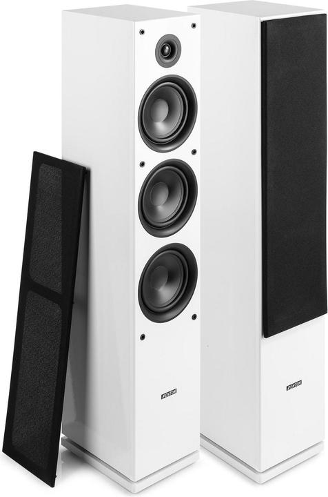 Actual product image Fenton SHF80W (1 pair, 250 W)