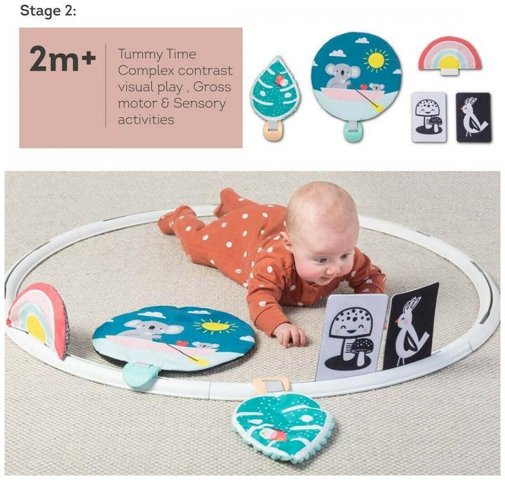 Actual product image Taf Toys Activities Hoop All Around Me