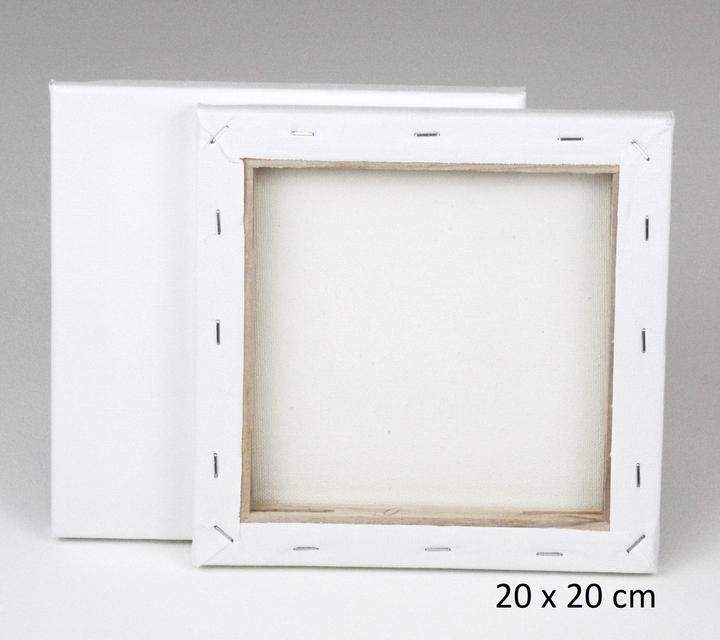 Immagine prodotto Paintersisters Barella Eco 20x20 20s (20 x 20 cm)