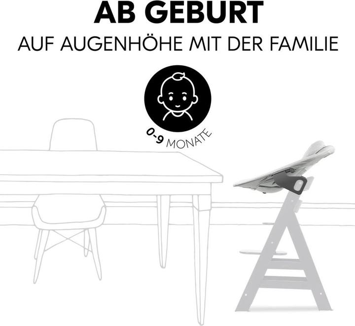 Produktbild Hauck Hochstühle Alpha Plus Grey 4-tlg. Newbornset Light Grey - (Hochstuhl)