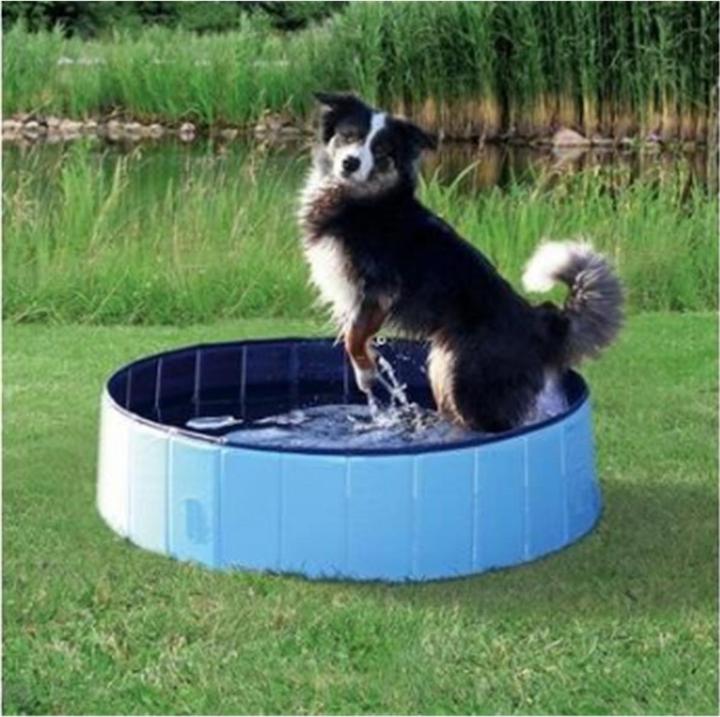 Actual product image Trixie Dog pool, 120 x 30 cm, light blue (Dog pool)