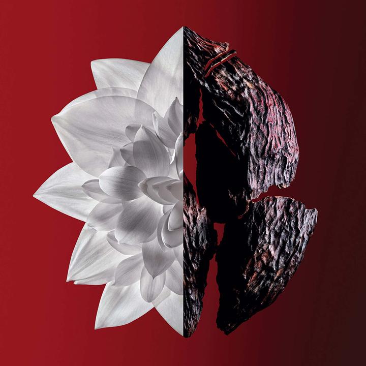 Produktbild Givenchy L’Interdit (Eau de Parfum, 80 ml)