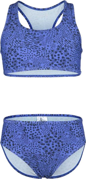 Dark Blue Print, Shining Blue