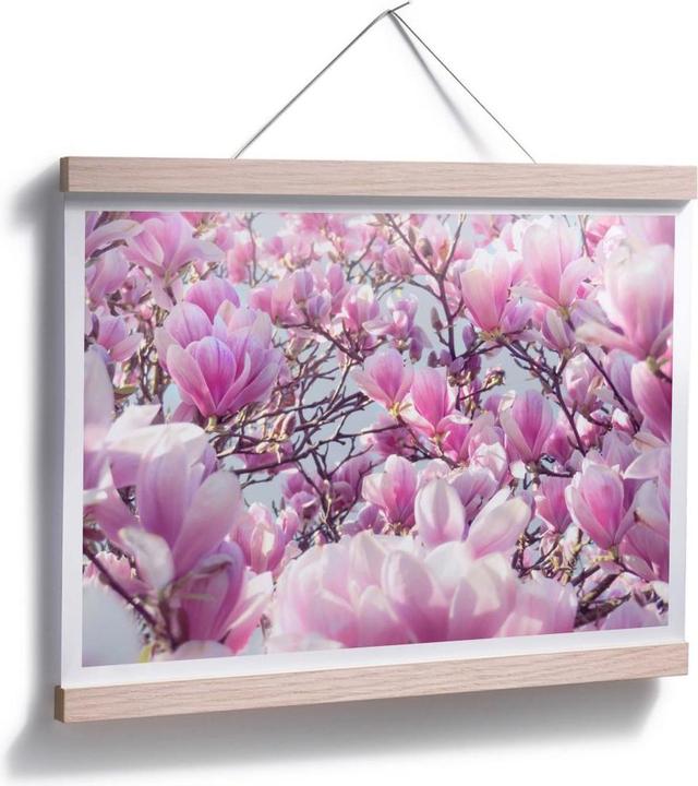 Immagine prodotto Trenddeko Albero di magnolia (30 x 24 cm)