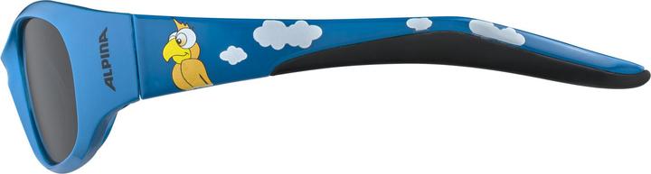Image du produit ALPINA SPORTS Flexxy