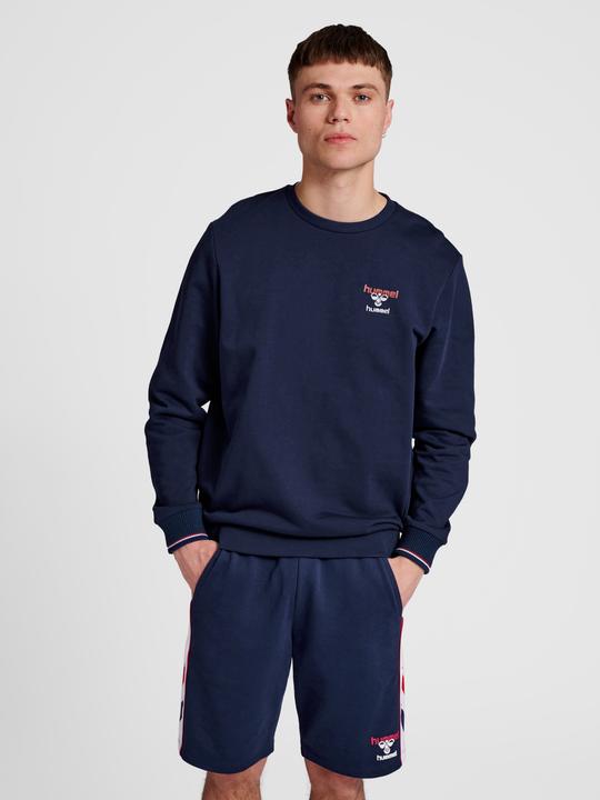 Actual product image hummel Ic Dayton Sweatshirt (L)