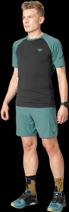 Immagine prodotto Dynafit ALPINE PRO 2/1 SHORTS, Herren (XL)