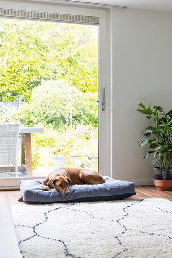 Actual product image Beeztees Bz Orthopedic Rest Cush Veo Dgrey 100x70 (Dog)