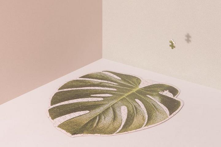 Actual product image Doiy Slow Puzzle Monstera (500 pieces)