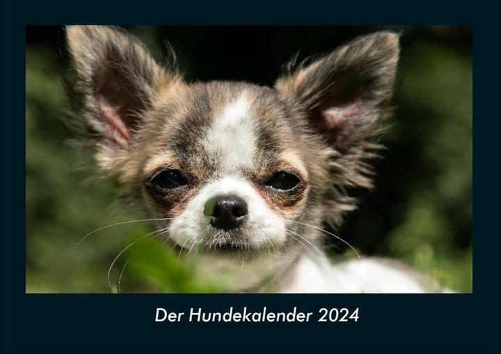 Produktbild Der Hundekalender 2024 Fotokalender DIN A4 (A4, Deutsch)
