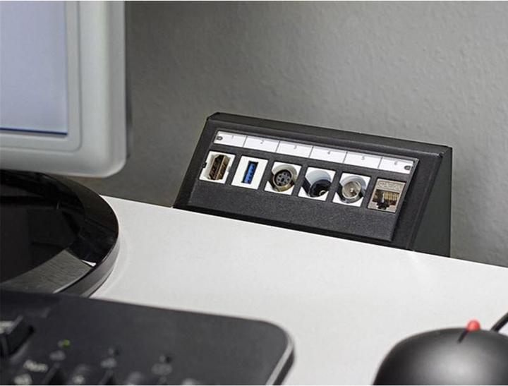 Actual product image Delock Keystone Empty Enclosure Multimedia