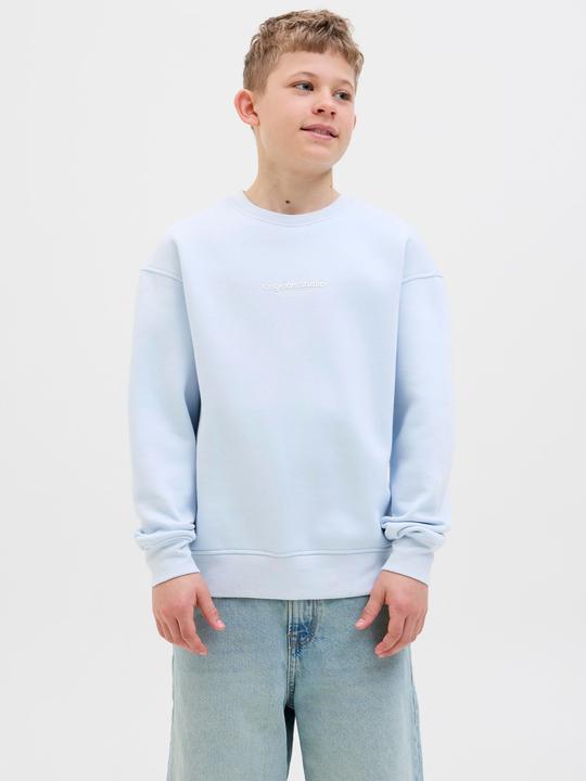 Actual product image Jack & Jones Printed sweatshirt junior sweatshirt (140)