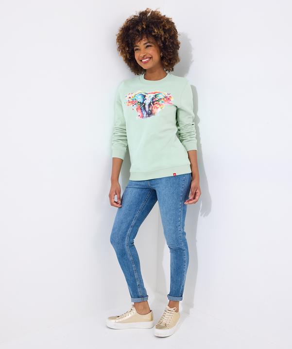 Actual product image Joe Browns Elephant Graphic Sweatshirt (38)