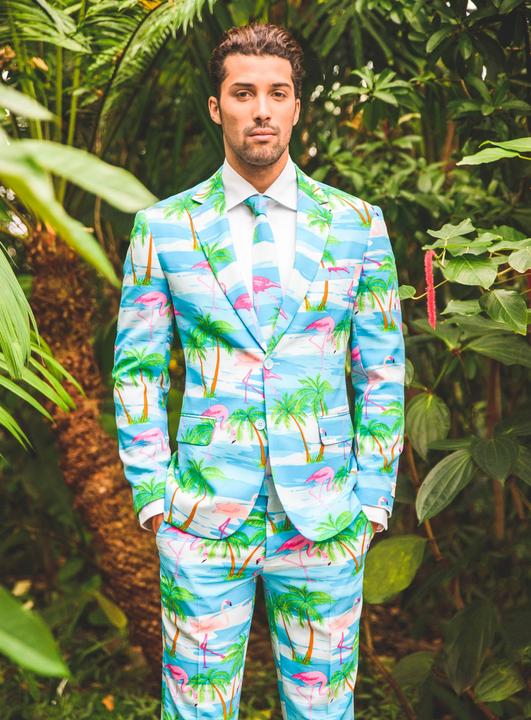 Image du produit OppoSuits Flaminguy (52)