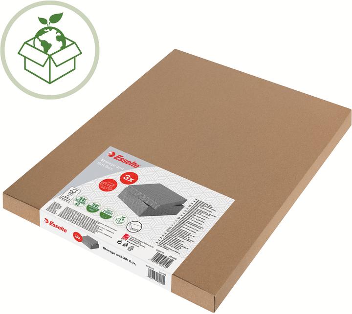 Image du produit Leitz Accueil Esselte (A4)