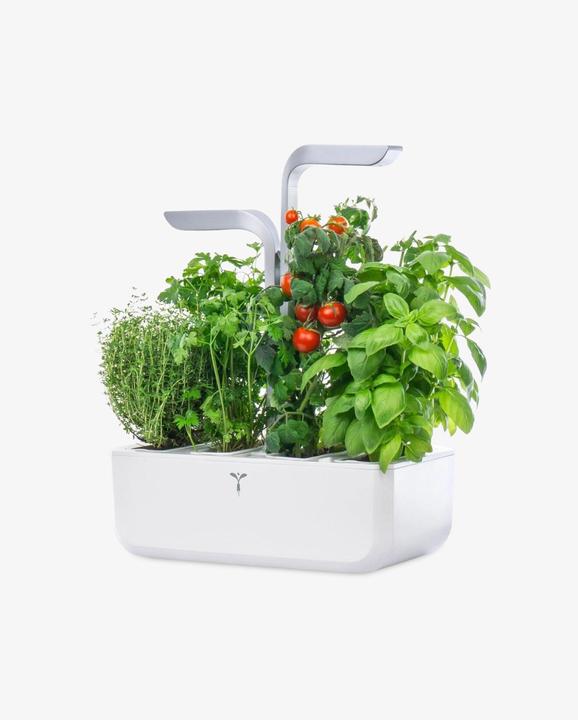 Actual product image Véritable Smart (18.50 cm)
