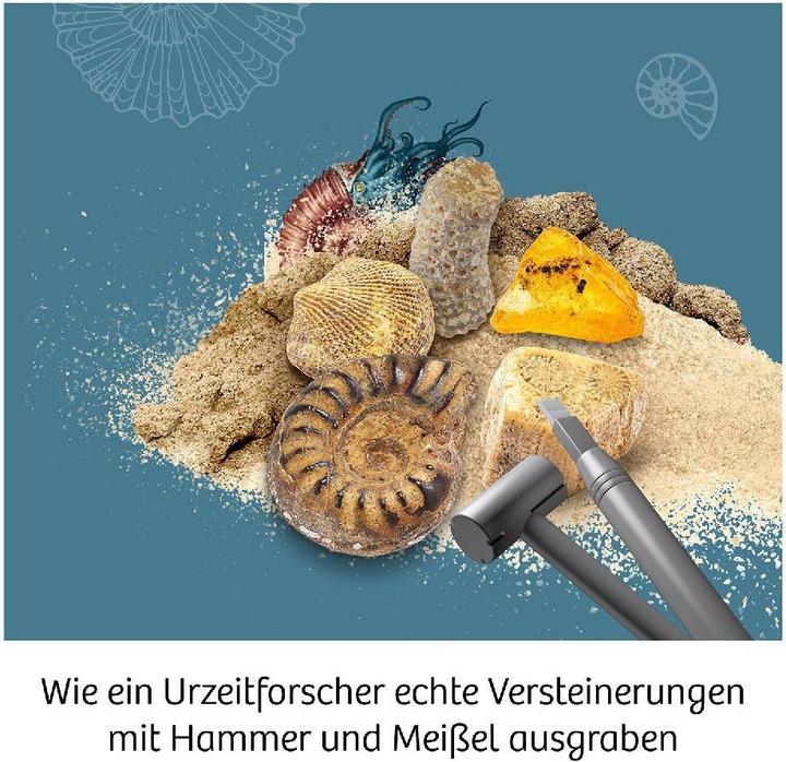 Actual product image Kosmos Fossils