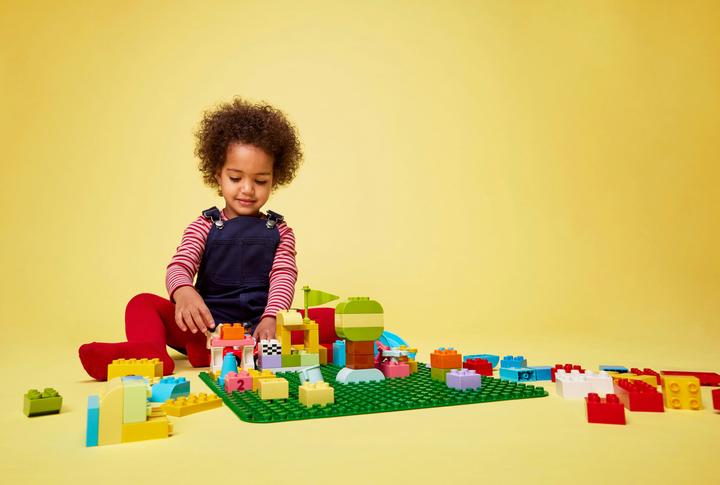 Immagine prodotto LEGO Pannello di costruzione (10980)