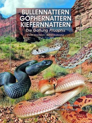 Immagine prodotto Bullennattern, Gophernattern, Kiefernnattern (Tedesco, Skubowius Hirschkorn, Dieter, 2011)