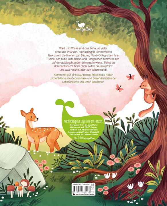 Produktbild Kleine Geheimnisse der Natur - Wald und Wiese (Deutsch, Stütze & Vorbach, Kaja Kajfež, 2022)