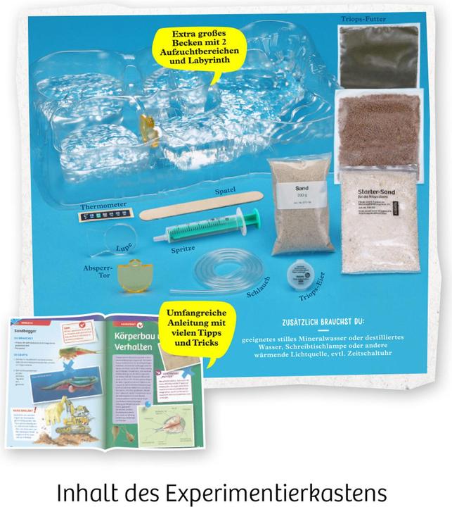 Actual product image Kosmos Triops - Life from primeval times