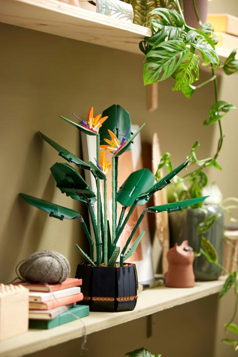 Produktbild LEGO Bird of Paradise (10289, LEGO Seltene Sets)