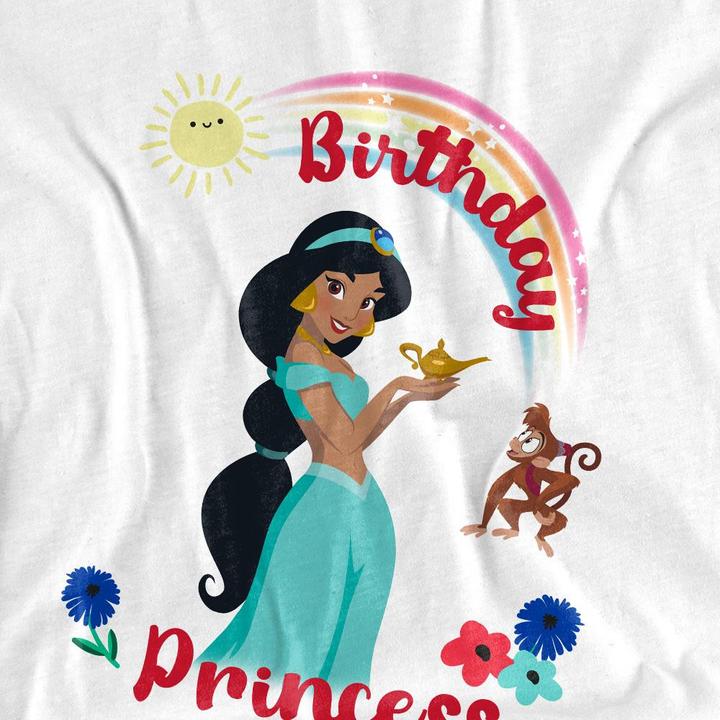 Actual product image Aladdin Unisex Adult Birthday Princess Jasmine Abu T-Shirt (M)