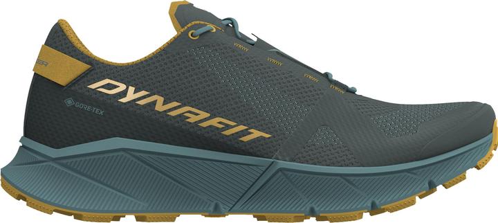 Dynafit Ultra 100 GTX Laufschuh (46.5)