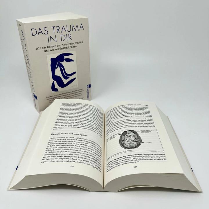 Actual product image Das Trauma in dir (German, Bessel van der Kolk, Hildegard Höhr, Theo Kierdorf, 2023)