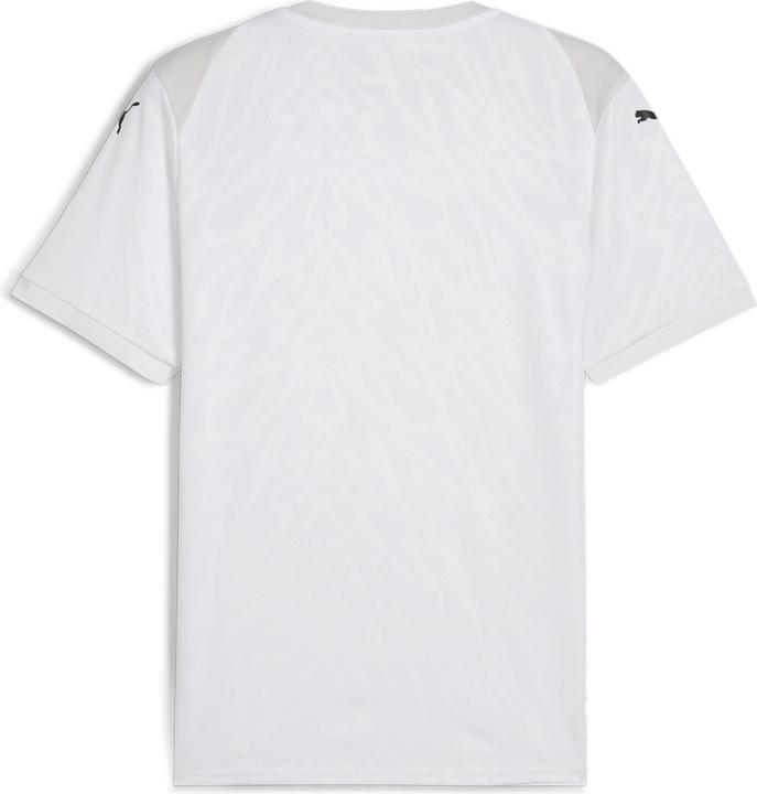 Actual product image Puma teamCUP Jersey (3XL)