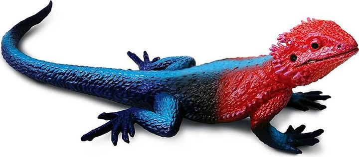 Immagine prodotto Safari Agama di roccia