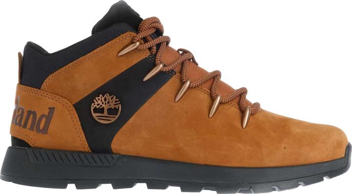 Timberland Sneaker