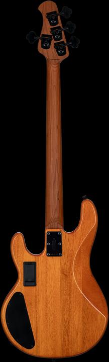 Produktbild by Music Man StingRay Ray34 HH Poplar Burl Amber elektrische basgitaar met deluxe gigbag (E-Bass, Maple, Ahorn, Poplar)