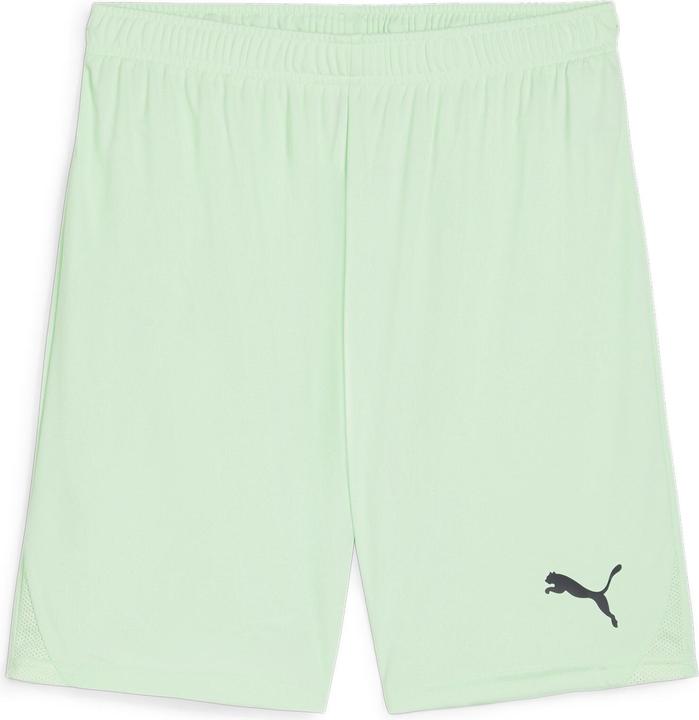 Produktbild Puma teamGOAL Shorts (L)