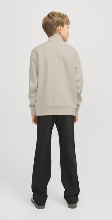 Actual product image Jack & Jones Jjebradley Sweat Half Zip Noos Jnr (176)