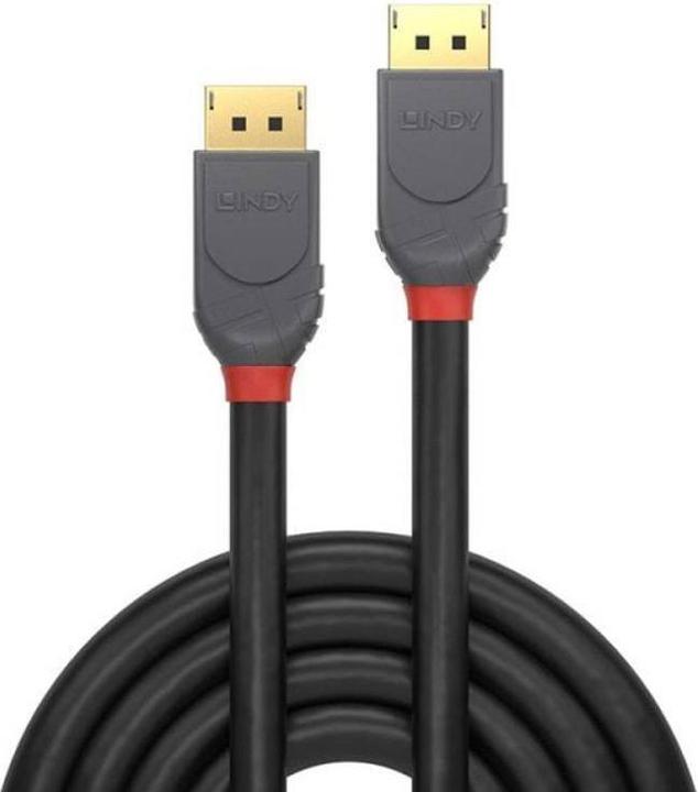 Produktbild Lindy DisplayPort — DisplayPort (1 m, DisplayPort)
